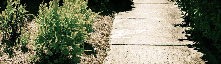 免费ddos在线攻击